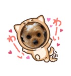 日常会話 ヨークのラテモカちゃん（個別スタンプ：12）
