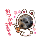 日常会話 ヨークのラテモカちゃん（個別スタンプ：25）