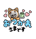 可愛いシロたんです。（個別スタンプ：3）