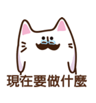 お父さん猫の鳴き声（漢語/北京語）（個別スタンプ：1）