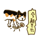 足のあるえのきの一日（個別スタンプ：1）