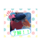 スグロな乙女スタンプ2（個別スタンプ：12）