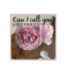 思いやりの英語と日本語と薔薇と緑（個別スタンプ：4）