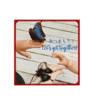 思いやりの英語と日本語と薔薇と緑（個別スタンプ：13）