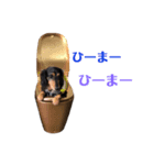 寺健キング（個別スタンプ：3）