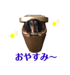 寺健キング（個別スタンプ：4）