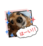 めりんぷ③（個別スタンプ：3）