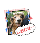 めりんぷ③（個別スタンプ：4）