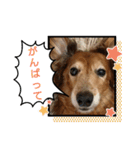 めりんぷ③（個別スタンプ：5）