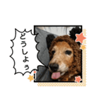 めりんぷ③（個別スタンプ：6）