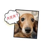めりんぷ③（個別スタンプ：7）