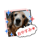 めりんぷ③（個別スタンプ：15）