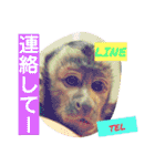 福ちゃんⅡ（個別スタンプ：6）
