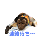 福ちゃんⅡ（個別スタンプ：7）