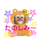 福ちゃんⅡ（個別スタンプ：12）