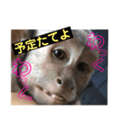 福ちゃんⅡ（個別スタンプ：14）