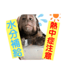 福ちゃんⅡ（個別スタンプ：21）