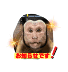福ちゃんⅡ（個別スタンプ：24）