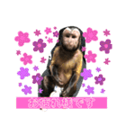 福ちゃんⅡ（個別スタンプ：25）