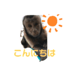 福ちゃんⅡ（個別スタンプ：26）
