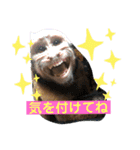 福ちゃんⅡ（個別スタンプ：29）