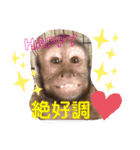 福ちゃんⅡ（個別スタンプ：31）