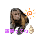 福ちゃんⅡ（個別スタンプ：33）