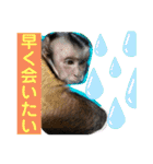 福ちゃんⅡ（個別スタンプ：37）