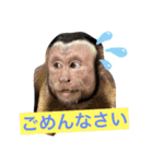 福ちゃんⅡ（個別スタンプ：38）