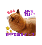 柴犬 うちの佑くん。④（個別スタンプ：7）