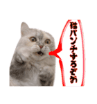 激カワ短足モナちゃん（個別スタンプ：10）