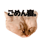 激カワ短足モナちゃん（個別スタンプ：15）