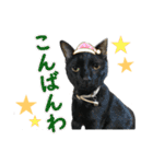 デカ文字③！ポメラニアン達と黒猫（個別スタンプ：2）