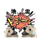 デカ文字③！ポメラニアン達と黒猫（個別スタンプ：23）