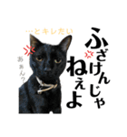 デカ文字③！ポメラニアン達と黒猫（個別スタンプ：32）