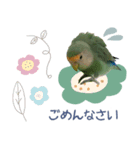 コザクラインコ シーグリーンの茶々くん（個別スタンプ：9）