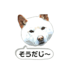 みぃ＆ちゃい＆チロ 510（個別スタンプ：8）