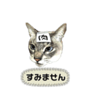 みぃ＆ちゃい＆チロ 510（個別スタンプ：27）