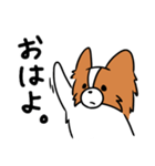 主張する犬(日向)（個別スタンプ：1）