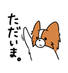 主張する犬(日向)（個別スタンプ：3）