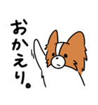 主張する犬(日向)（個別スタンプ：4）