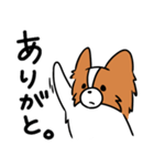 主張する犬(日向)（個別スタンプ：7）