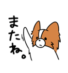 主張する犬(日向)（個別スタンプ：8）