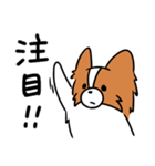 主張する犬(日向)（個別スタンプ：15）