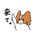 主張する犬(日向)（個別スタンプ：16）