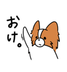 主張する犬(日向)（個別スタンプ：17）