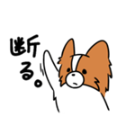 主張する犬(日向)（個別スタンプ：22）