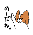 主張する犬(日向)（個別スタンプ：24）