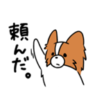 主張する犬(日向)（個別スタンプ：26）