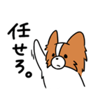 主張する犬(日向)（個別スタンプ：27）